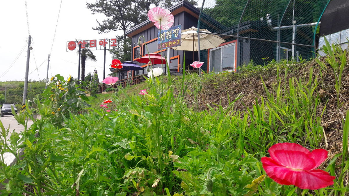 커피농장 산티아고 카페외부