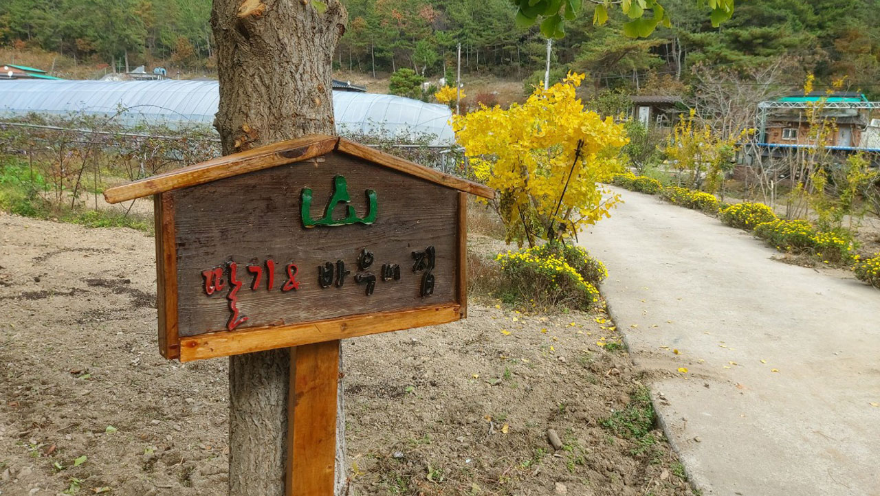 딸기와 바우네집 입구 첨부파일 : 601.jpg