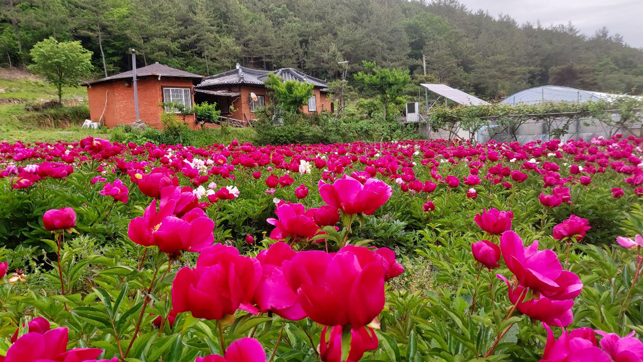 딸기와 바우네집 첨부파일 : 602.jpg